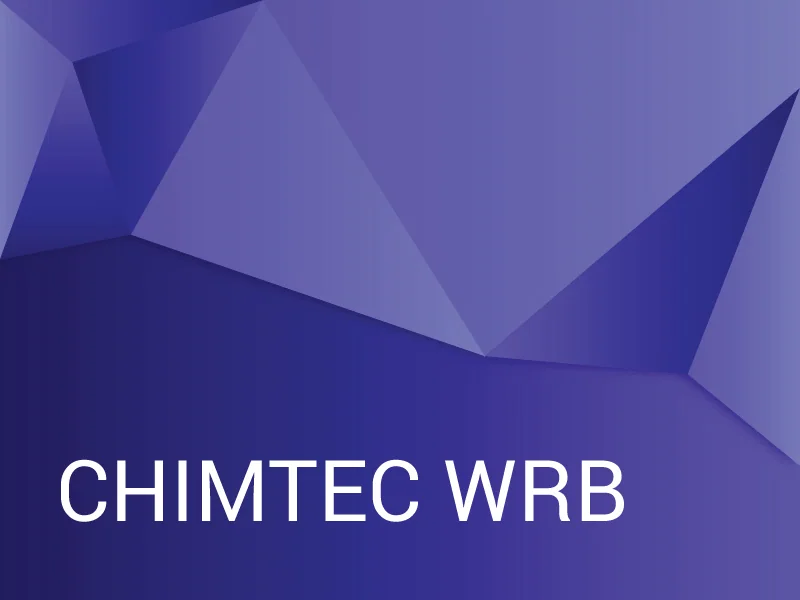 Вязкоупругий состав CHIMTEC WRB